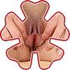 Monika Benjar 0004.jpg